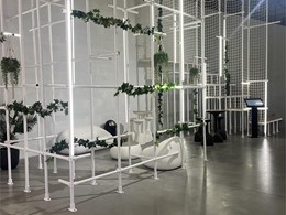 IMG_0102