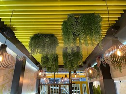 IMG_0646