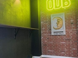 Neón Led y Pieza de piedra realizada en relieve