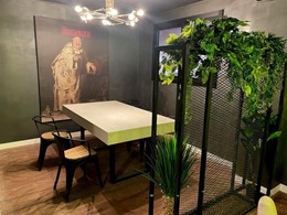 Suministro de plantas decorativas