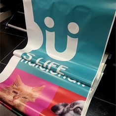 Impresión en vinilo latex con barniz protector