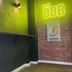 Neón Led y Pieza de piedra realizada en relieve