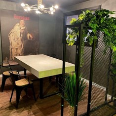 Suministro de plantas decorativas